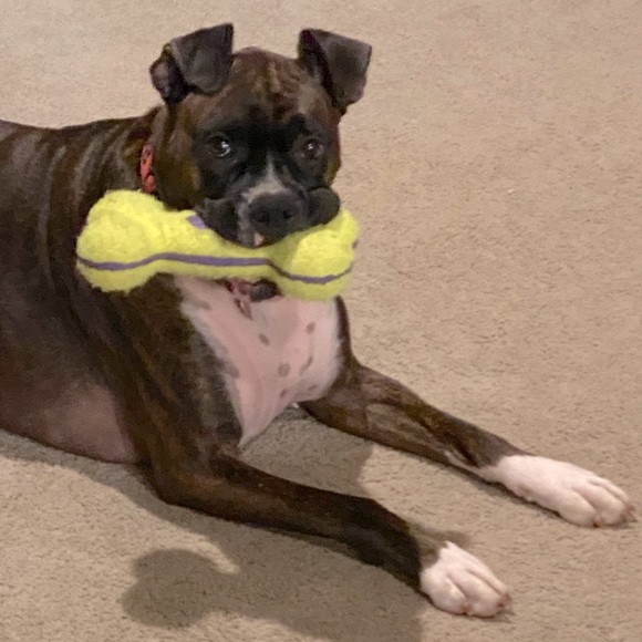 Meet your Posher, Allison - Picture 1 of 1